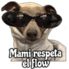 Memes de Perros 6