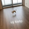 ✓ uy kieto