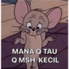MANA Q TAU Q MSH KECIL