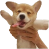 Stickers de hamsters 10