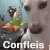Confleis