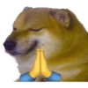 Meme dogs 8