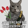 Michis Para Ti pt.2🐱❤️ 5