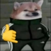 Meme dogs 20