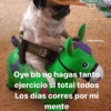 Oye bb no hagas tanto ejercicio si total todos Los días corres por mi mente