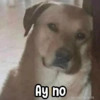 Memes Random XD 😎🥵1 8