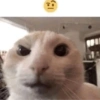 ا: