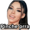 Pinche prra