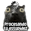 Procesando tu estupidez