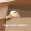responde xfabor