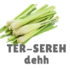 Plesetan lucu 6