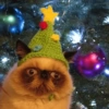 Animalitos Navideños 11
