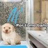 Memes Random XD 9