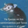 Ya fíjense en los sentimientos por favor, no quiero ir al gym