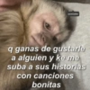 parenlavidaa
q ganas de gustarle
a alguien y ke me
suba a sus historias
con canciones
bonitas
