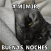 Michis Para Ti pt.2🐱❤️ 12