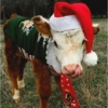 Animalitos Navideños 5