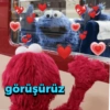 görüşürüz