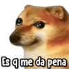 Es q me da pena