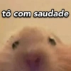 Só pros apaixonados 💖🫶🏼 13