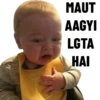 MEMES 14