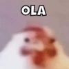 OLA