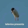 televisa presenta