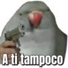 A ti tampoco
