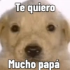 Te quiero
Mucho papá
