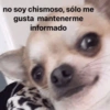 no soy chismoso, sólo me gusta mantenerme informado