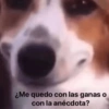 ¿Me quedo con las ganas o con la anécdota?