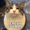 TEMENIN CHATTAN