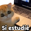 E
W
D
7
.
3
F
e
**
✔
"
.
@Giseelove_stickers
F
1
H
#
BRYONONOOGBODO
A
J
6
U
K
8
F
7
.
0
IDA
P
Si estudie
Za