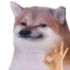 Meme dogs 15
