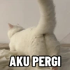AKU PERGI