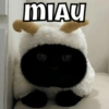 MIAU