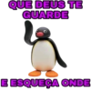 RESPOSTAS E REAÇÕES 19