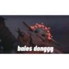 bales donggg