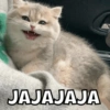 JAJAJAJA