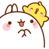 Molang y Piu Piu🧡 13