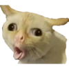 Stickers de hamsters 6