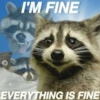I'M FINE 5 EVERYTHING IS FINE