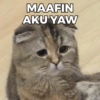MAAFIN AKU YAW