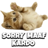 CATS 8
