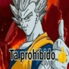 Ta prohibido ww