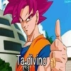 Tadivino EC