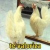 te valoriza