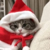 Animalitos Navideños 18