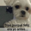 Días porqué feliz era yo antes...