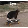 Bye